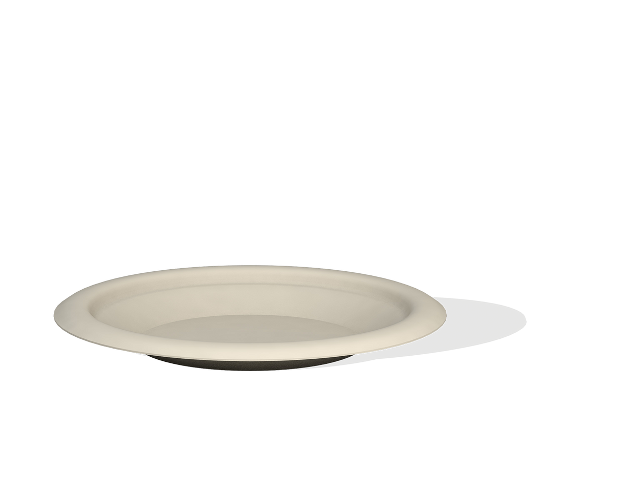 6" Bagasse Plate 8x125