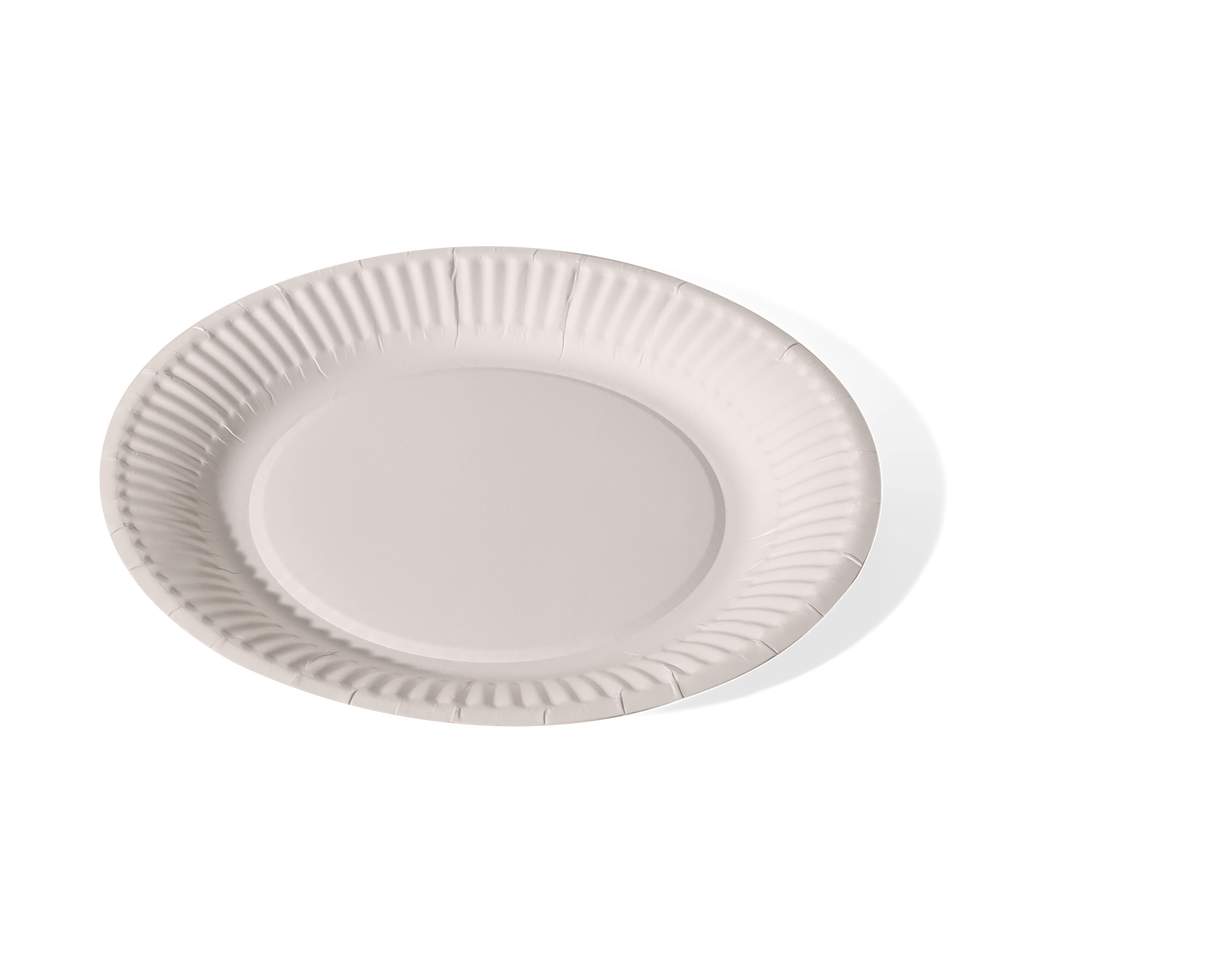 6" White Paper Plate 1x1000